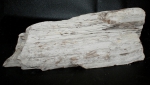 Versteinertes Holz